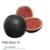 FIRE BALL F1 Do you know our high #quality "Sugar baby" #watermelon, from the #s...